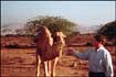 Randy and the UAE Camel