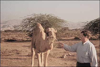 Randy and Camel