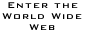 Enter the World Wide Web