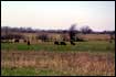 Johnson Ranch