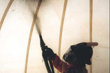 Ecoshell I