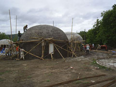 DFTW Indonesia Project