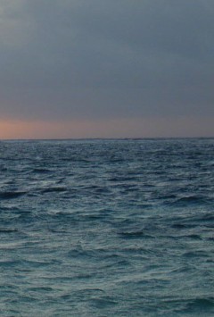 horizon